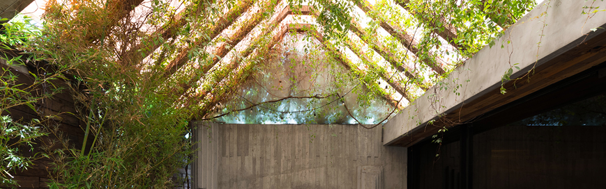 品尝食物和独家聚会的空间